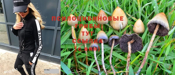 СК Зерноград