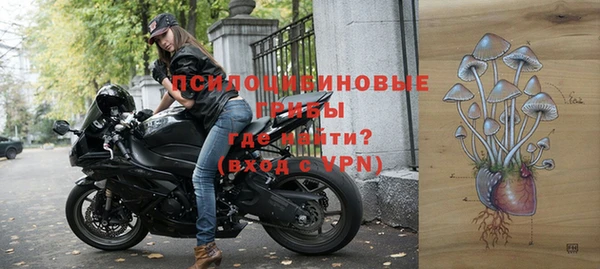 СК Зерноград