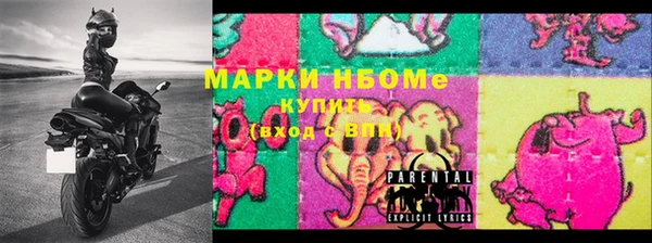 СК Зерноград