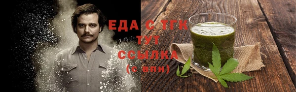 СК Зерноград