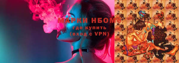 СК Зерноград
