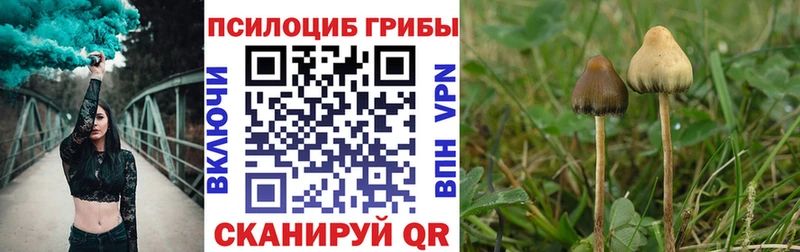 Псилоцибиновые грибы ЛСД  Купить где  Белозерск 